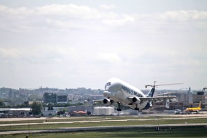 Airbus Beluga décollant de l'aéroport de Toulouse - Blagnac